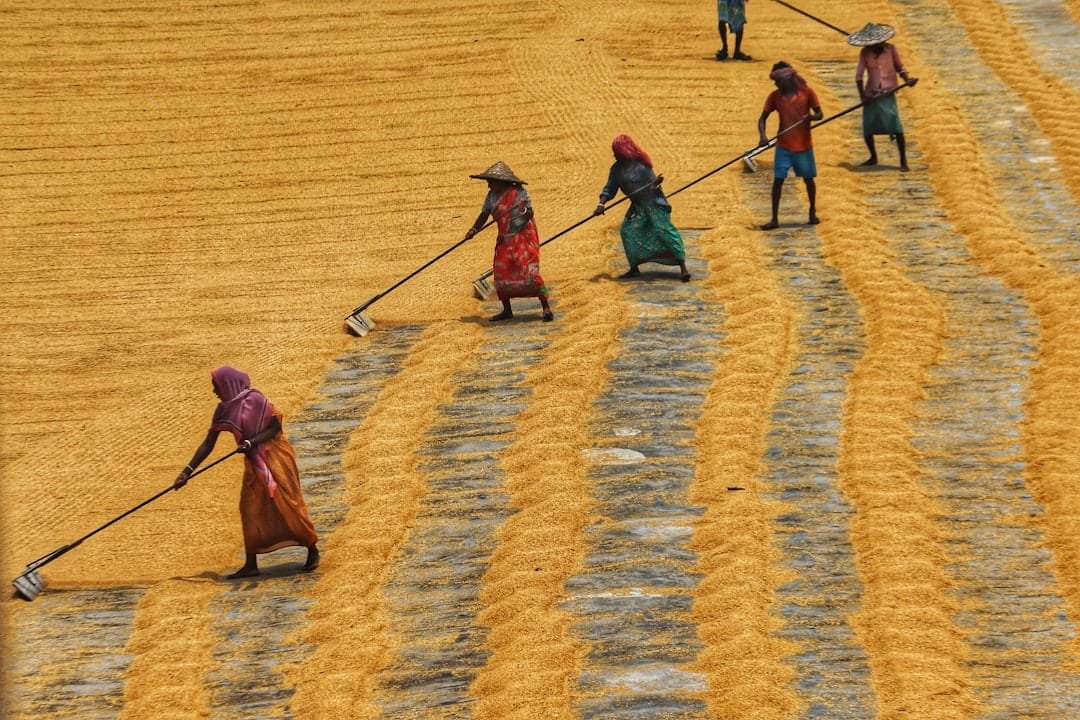 Photo Harvesting workers